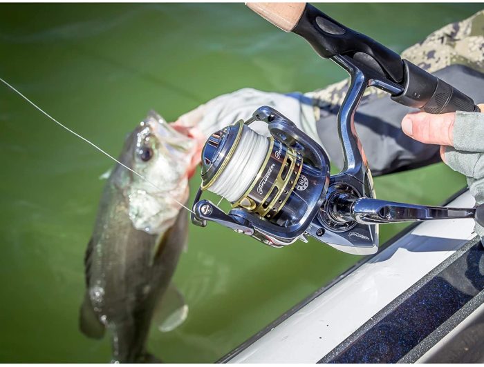 Cleaning Your Fishing Rod's Reels at Home