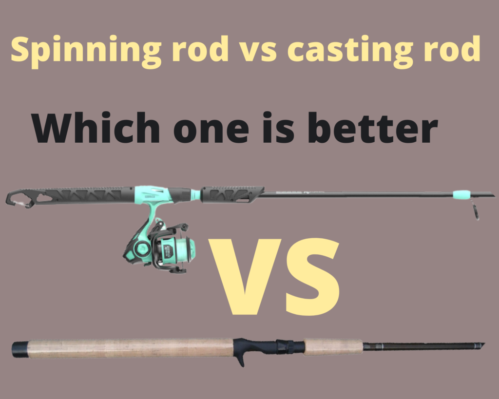 Spinning rod vs casting rod