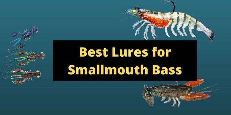 Best Smallmouth Bass Lures