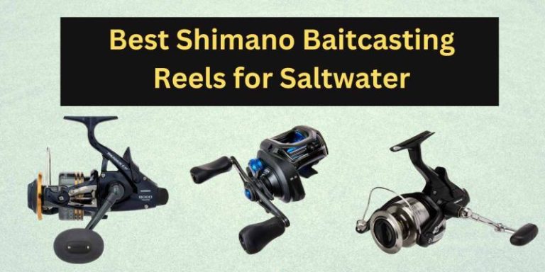 10 Best Shimano Baitcasting Reels for Saltwater in 2022