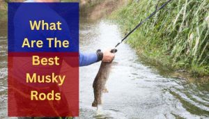 Best Musky Rods