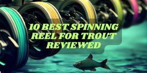 Best Spinning Reel for Trout