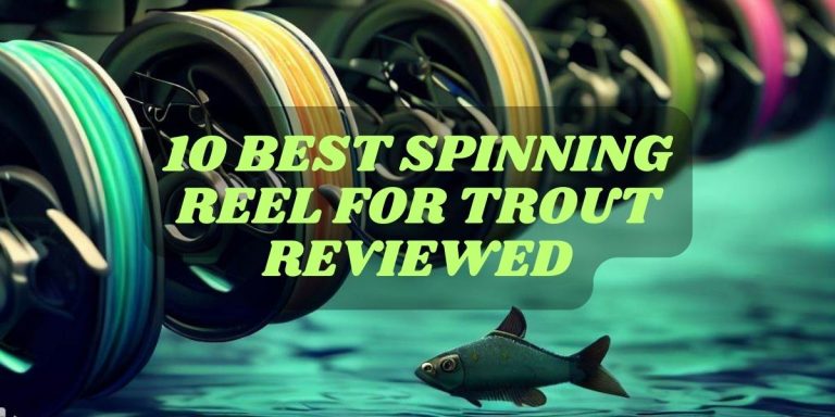 Best Spinning Reel for Trout