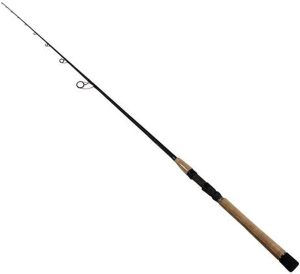 Best Inshore Rods