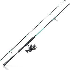 Best Saltwater Rod And Reel Combos For The Money