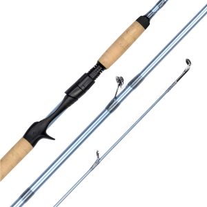 Best Inshore Fishing Rods
