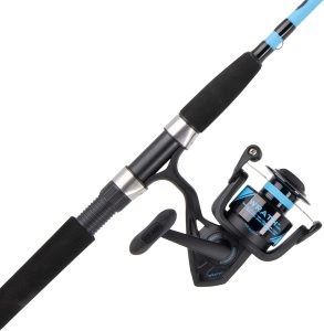Best Saltwater Rod And Reel Combos For The Money