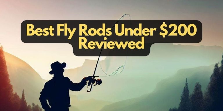 Best Fly Rods Under $200