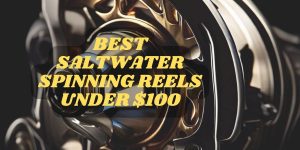 Best Saltwater Spinning Reels Under $100
