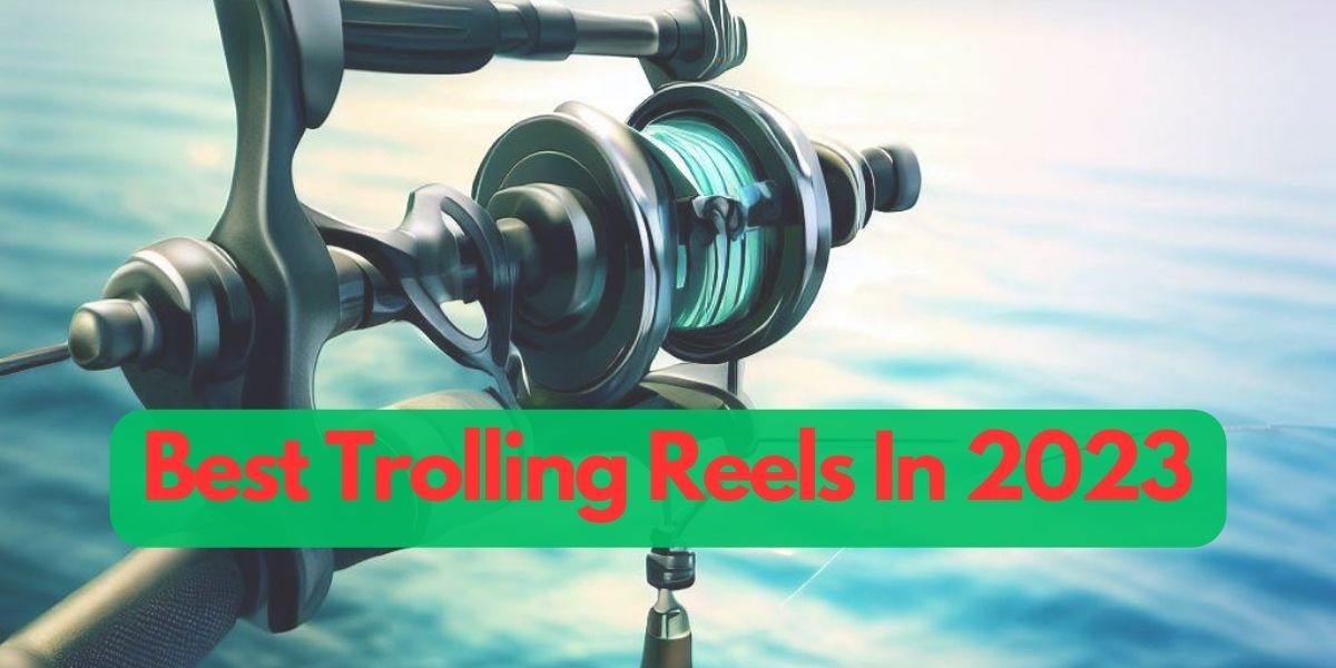 Best Trolling Reels