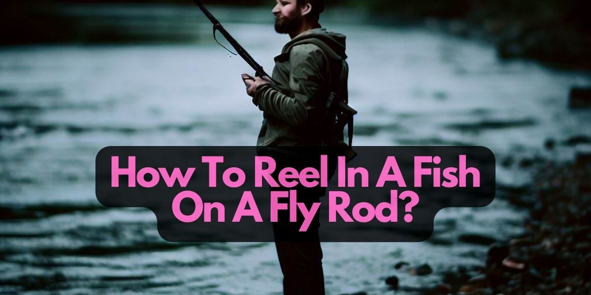 How To Reel In A Fish On A Fly Rod?