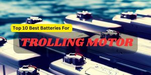 Best Batteries For Trolling Motor