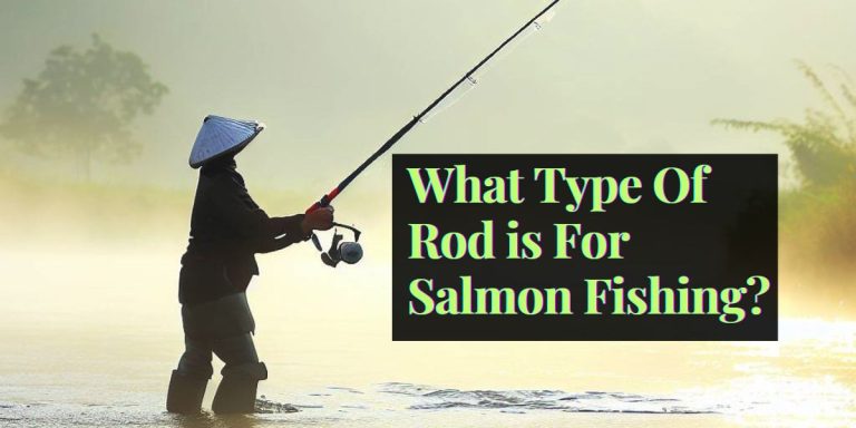 What Type Of Rod is For Salmon Fishing?