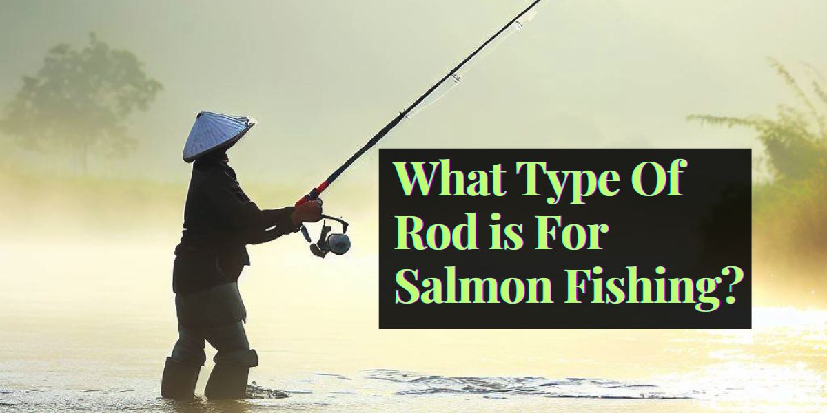 What Type Of Rod is For Salmon Fishing?