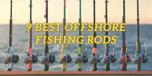 Best Offshore Fishing Rods