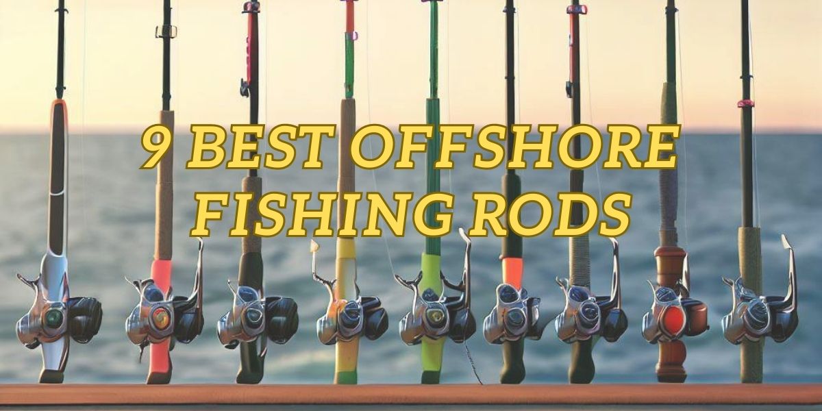 Best Offshore Fishing Rods