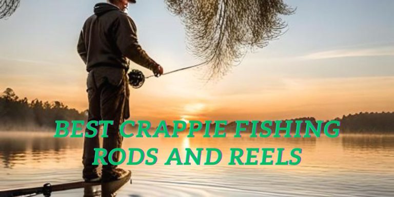 Best Crappie Fishing Rods and Reels