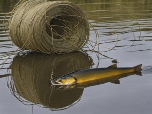 How Strong is Fishing Wire