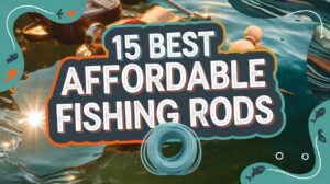 Best Affordable Fishing Rods