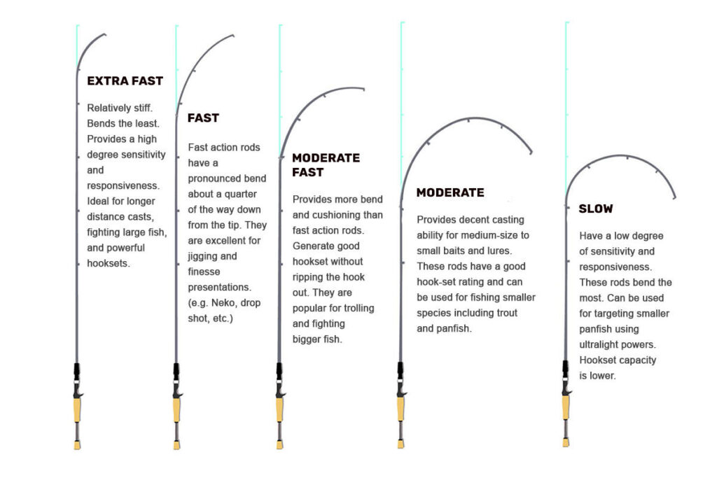 Fly rod action comparison showing different bending curves