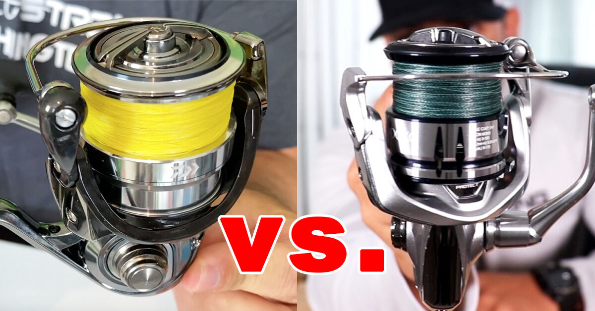 Spinning Reel Size Chart Comparison